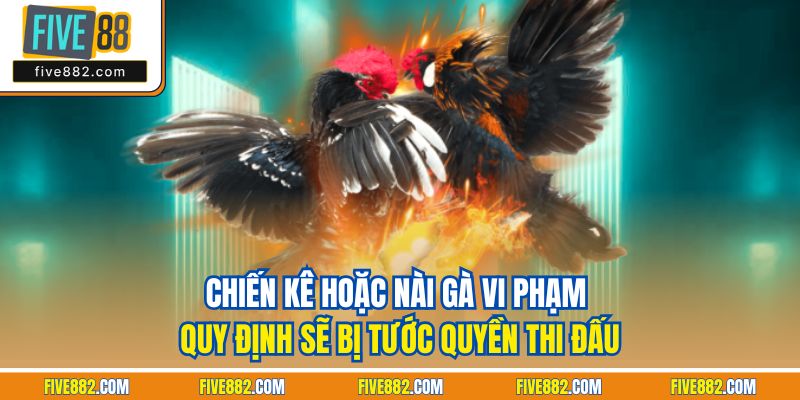 Chiến kê hoặc nài gà vi phạm quy định sẽ bị tước quyền thi đấu