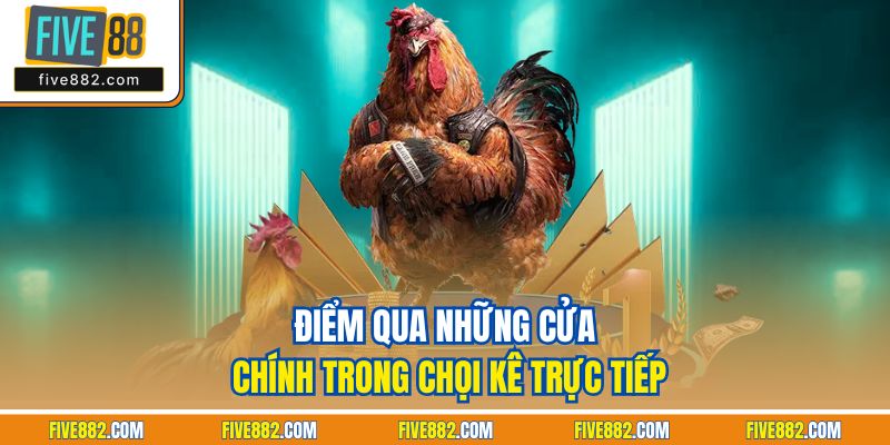Điểm qua những cửa chính trong chọi kê trực tiếp