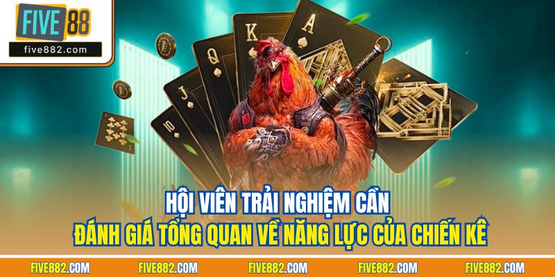 Hội viên trải nghiệm cần đánh giá tổng quan về năng lực của chiến kê