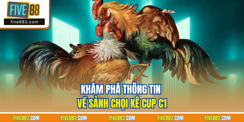Khám phá thông tin về sảnh chọi kê cup C1