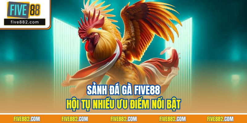 Sảnh đá gà Five88 hội tụ nhiều ưu điểm nổi bật