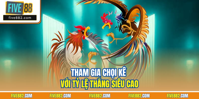 Tham gia chọi kê với tỷ lệ thắng siêu cao