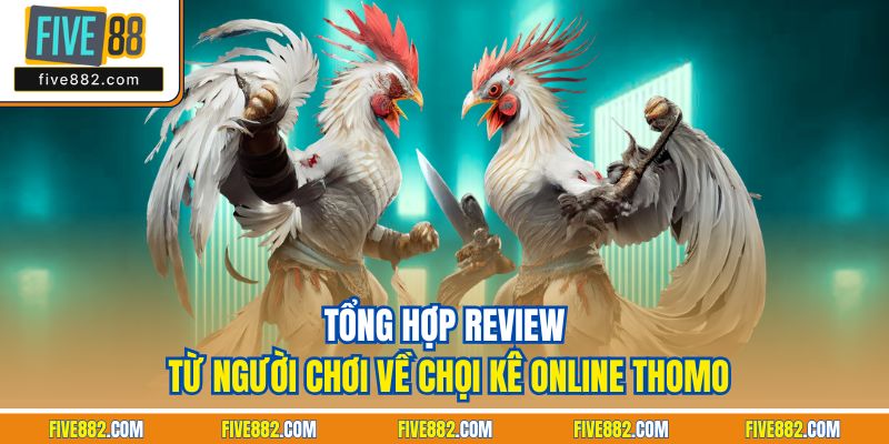 Tổng hợp Review từ người chơi về chọi kê online Thomo