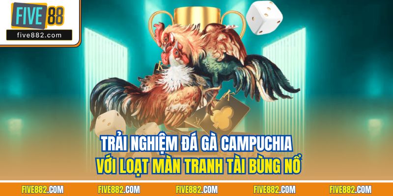 Trải nghiệm đá gà Campuchia với loạt màn tranh tài bùng nổ