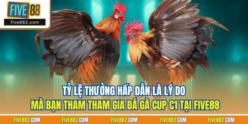 Tỷ lệ thưởng hấp dẫn là lý do mà bạn tham tham gia đá gà cup C1 tại Five88